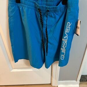 Quiksilver Aqua Swim Trunks